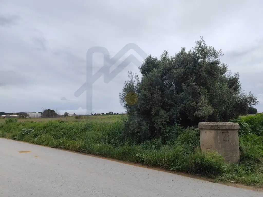 Terreno rústico en venta en Los Palacios y Villafranca, imagen 4