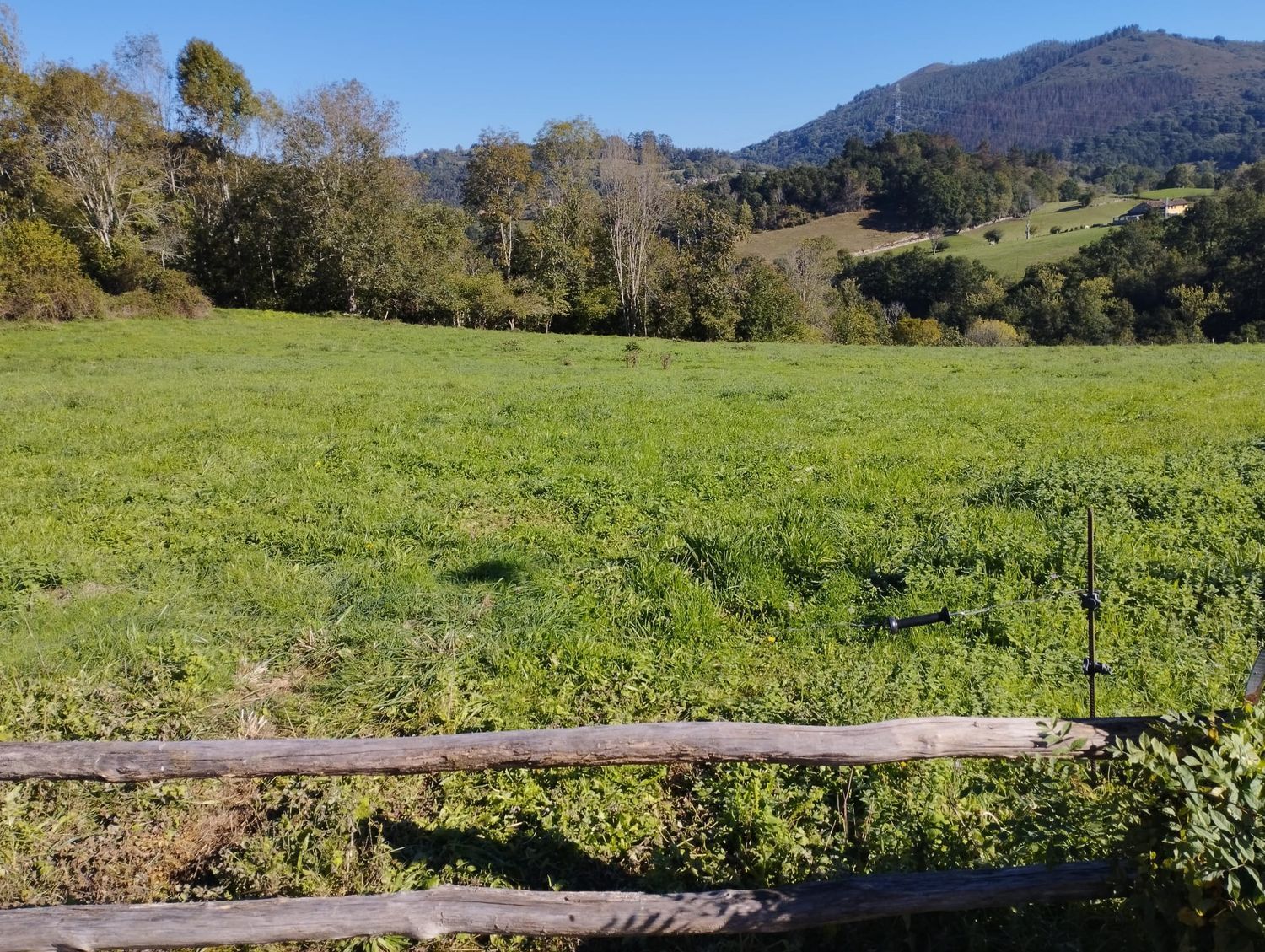 Residencial en venda a Nava
