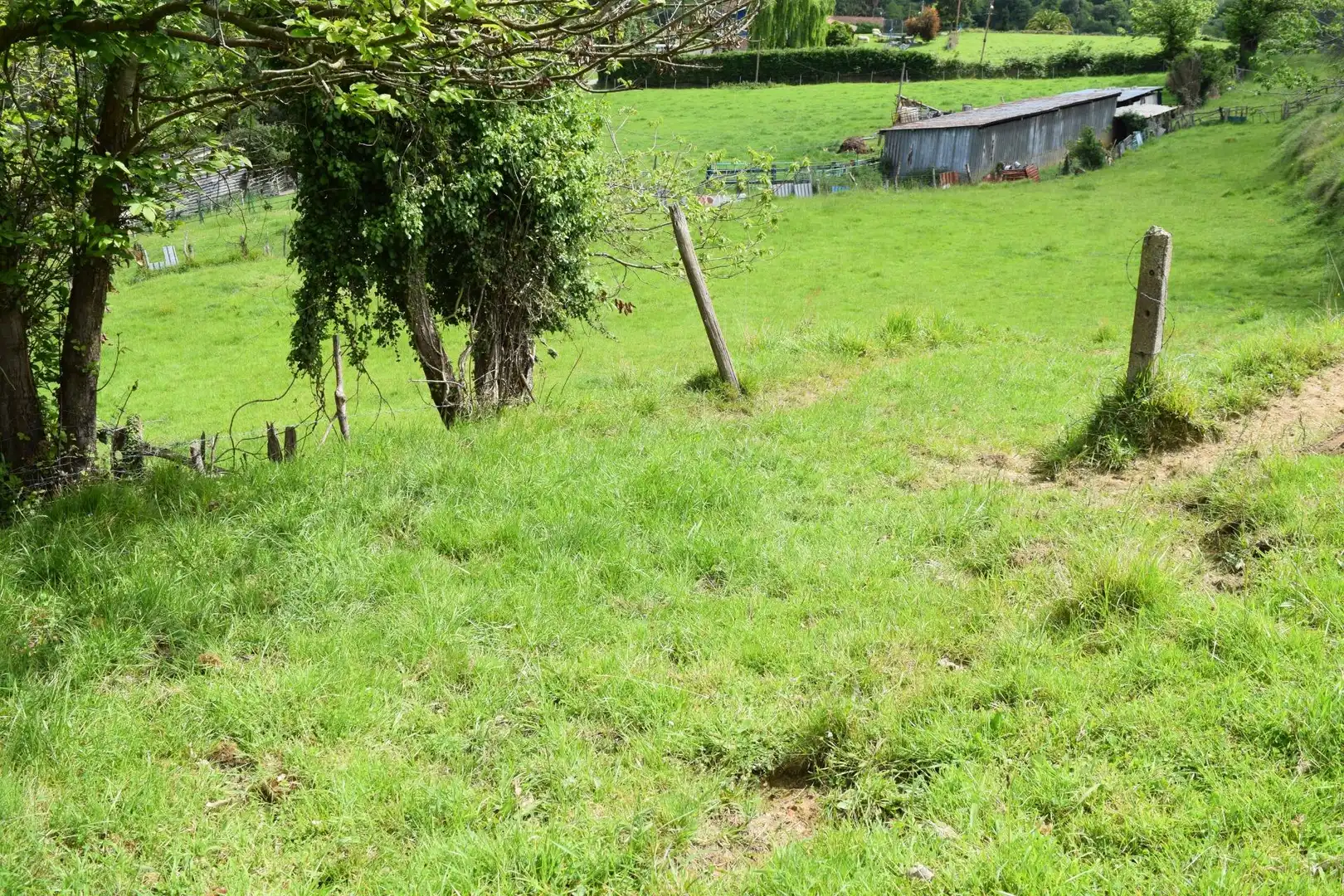 Terreno residenziale in vendita a Carretera Los Molinos 19, imagen 7