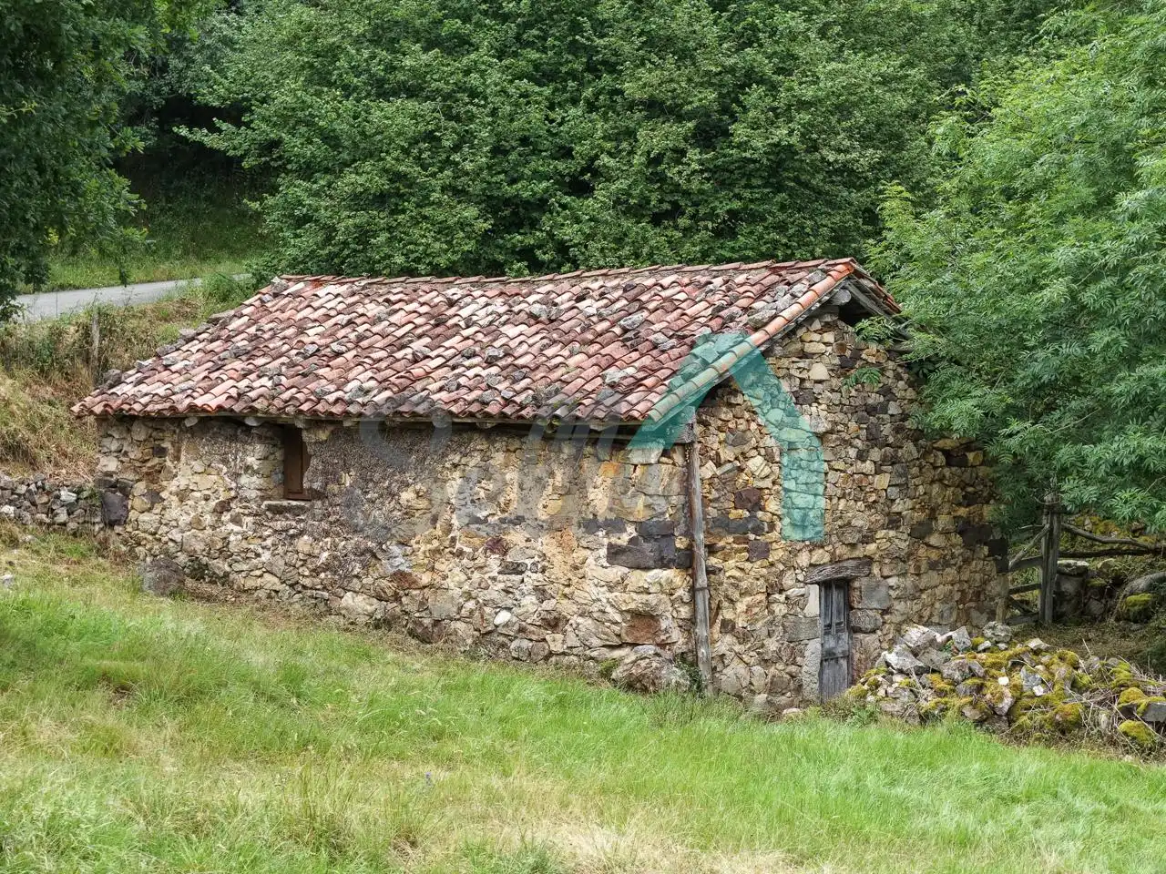 Exterior view of Land for sale in Proaza