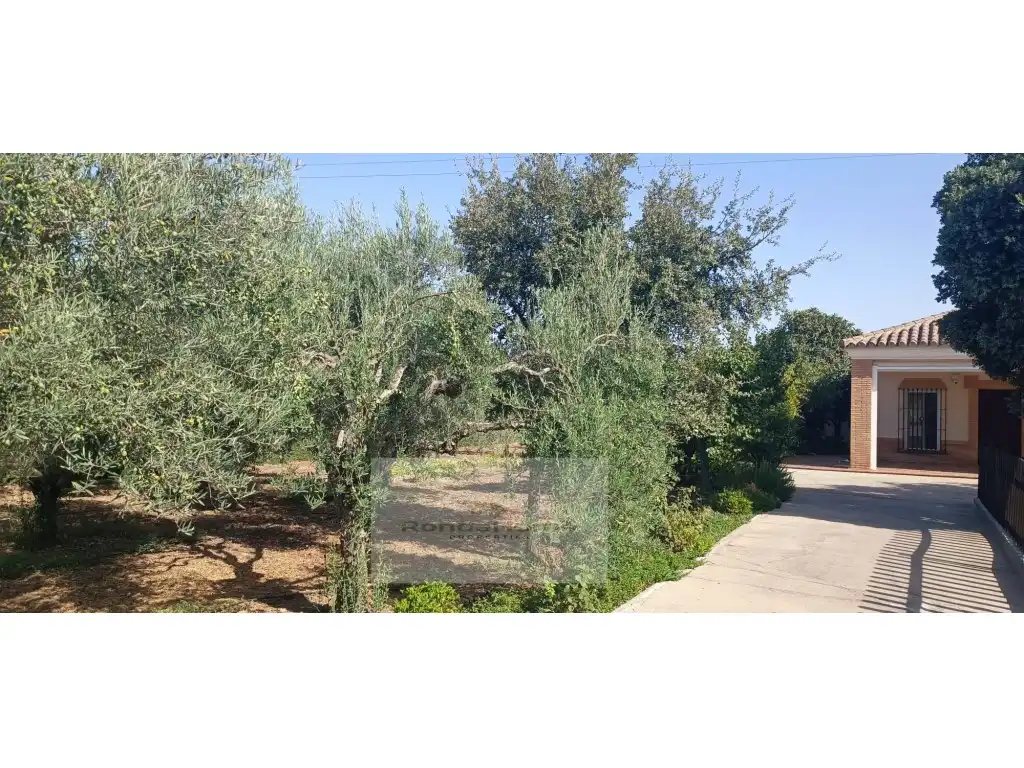 Finca rústica en venda en Arcos de la Frontera amb Aire condicionat, Piscina i Moblat