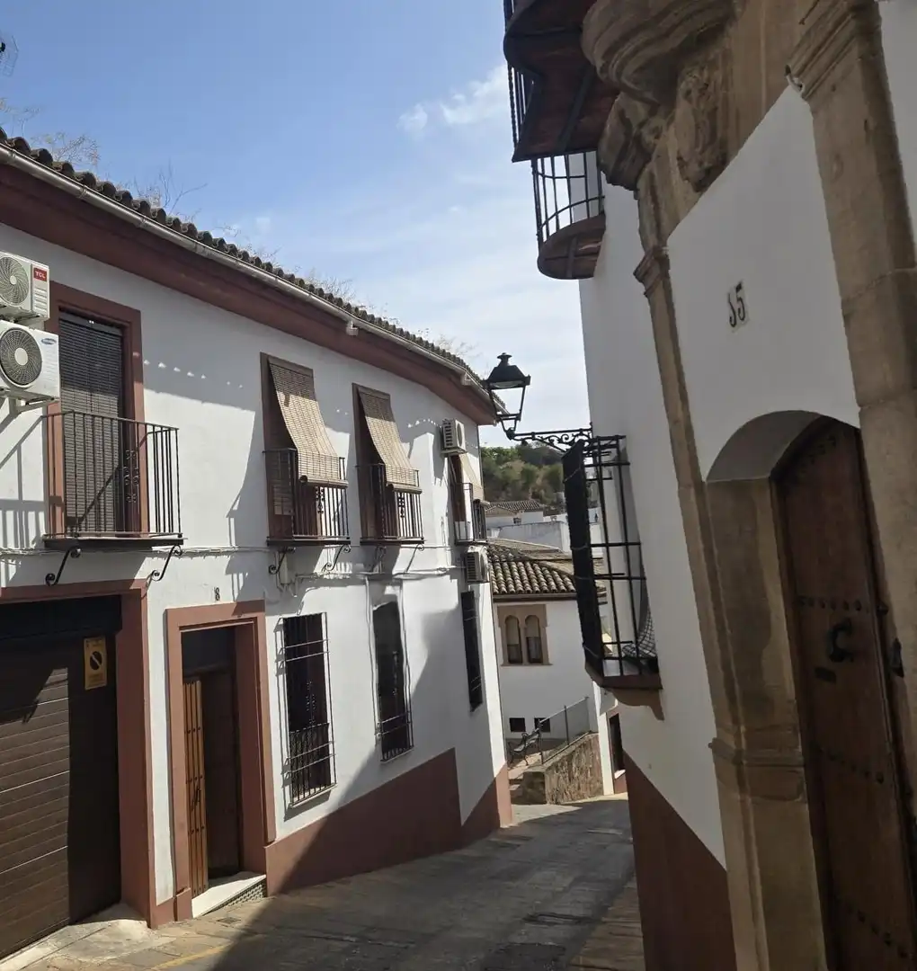 Appartamento in vendita a Calle ANTONIO GARIJO 14, imagen 5