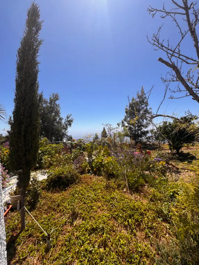 Jardín de Finca rústica en venta en Granadilla de Abona con Calefacción, Jardín privado y Parquet