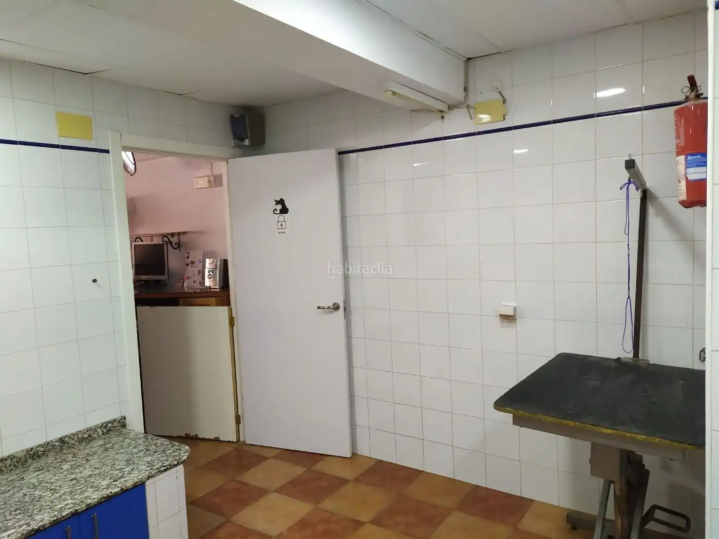 Local comercial en venda a Avenida Vicente Ferri 45, imagen 2