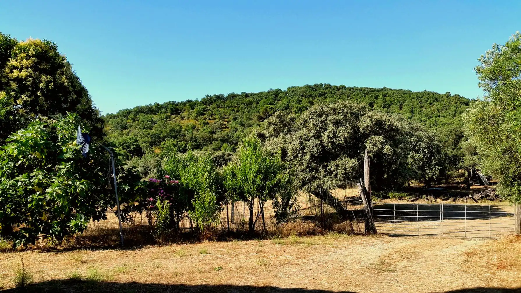 Terrenos y solares en venta en Extramuros Diseminados 5, imagen 18