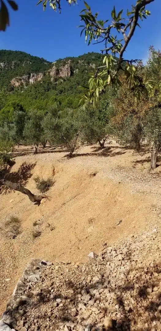 Finca rústica en venda en Amposta