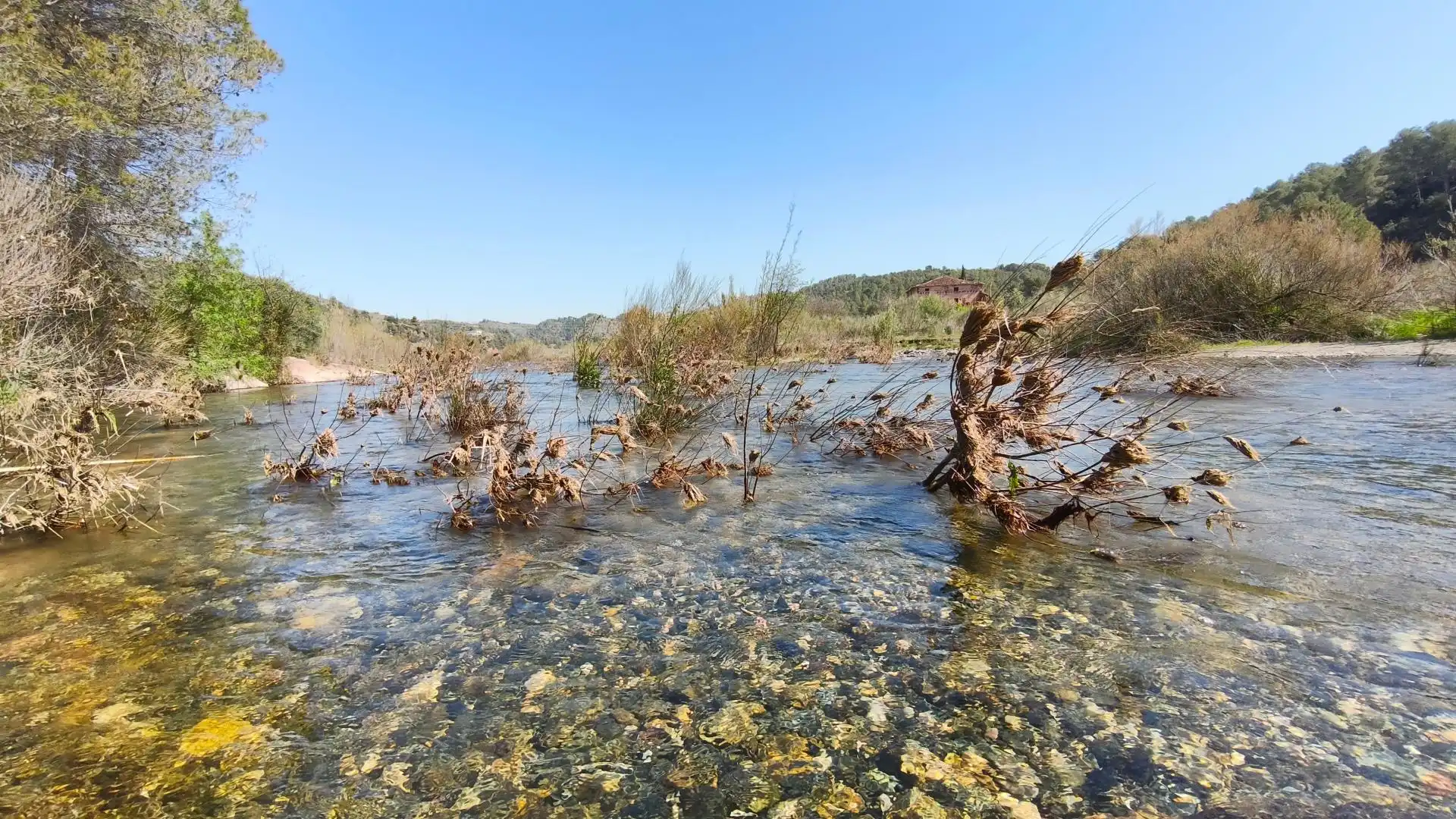 Grundstücke zum Verkauf in El Molar (Tarragona)