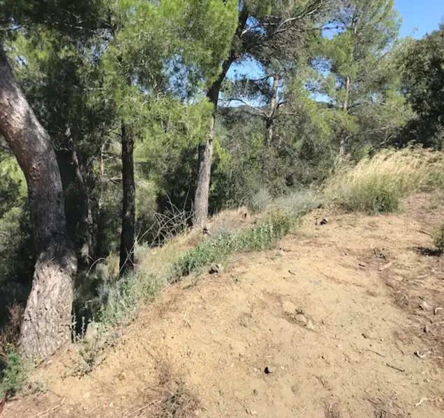 Terreno residenziale in vendita a Travadells, imagen 5