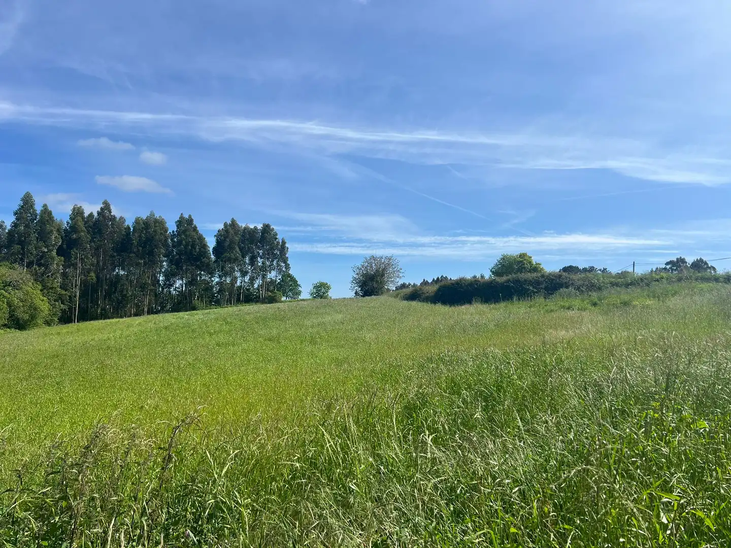 Terreno residenziale in vendita a Miño, imagen 4