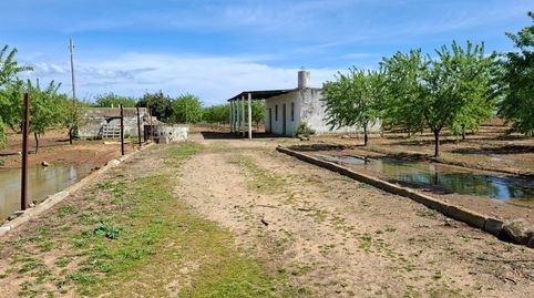 Foto 2 de Terreno en venta en Polígono Polígono 85 Paraje 534 Mataburras, Pedanías Sur, Utrera