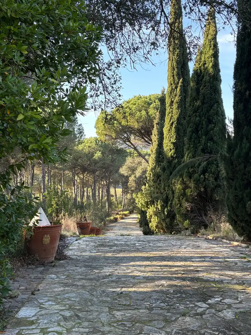 Jardín de Finca rústica en venta en La Pera con Jardín privado, Trastero y Piscina