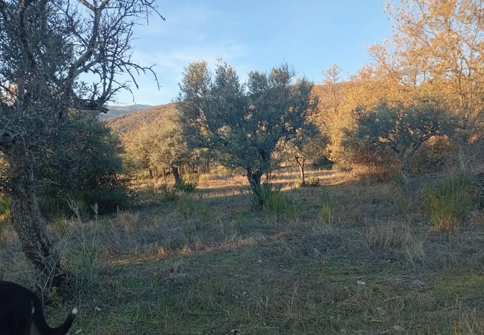 Terreni e lotti in vendita a Viandar de la Vera, imagen 27
