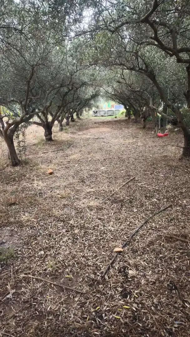 Finca rústica en venda en Onda amb Piscina
