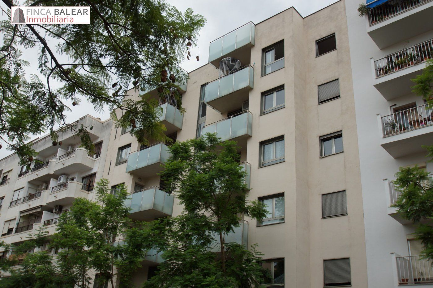 Flat to rent in Cas Capiscol