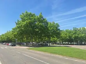 Außenansicht von Wohnung zur Miete in Burgos mit Heizung, Parkett und Terrasse