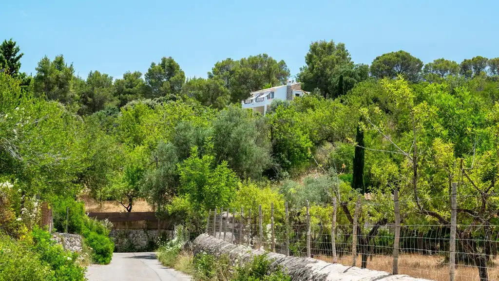 Country house for sale in Bunyola, imagen 37