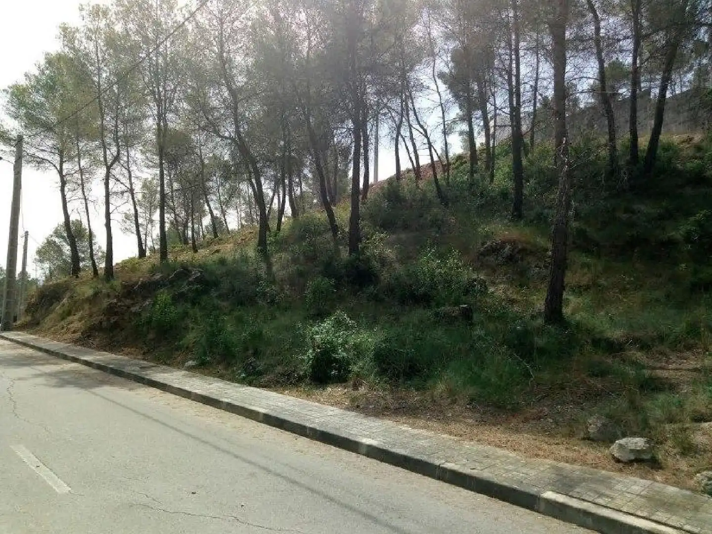 Lands and plots for sale in Olivella, imagen 10