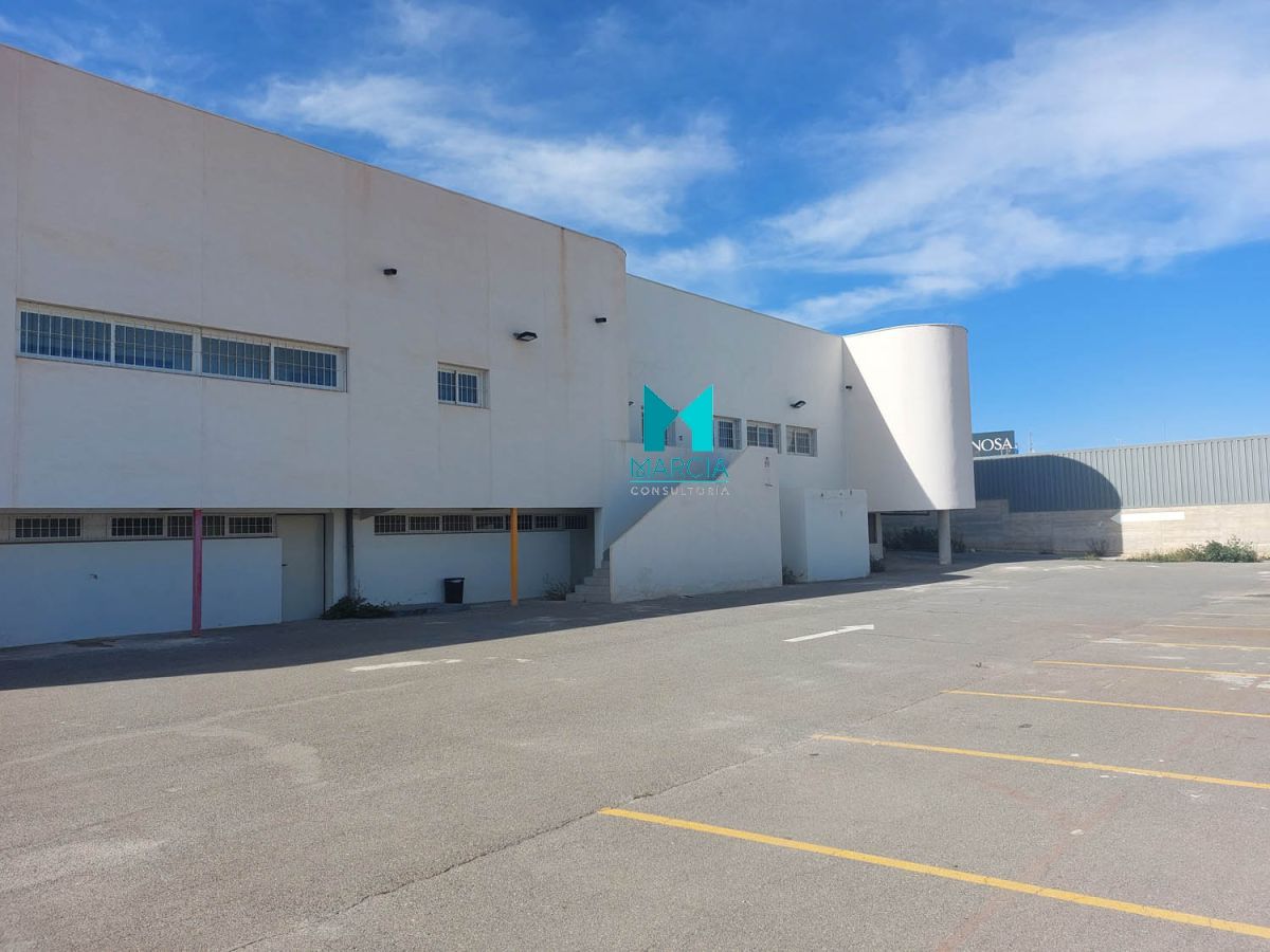 Exterior view of Industrial buildings for sale in Sant Joan d'Alacant