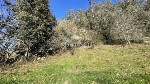 PARCELA CON ARBOLEDA Y VISTAS PRIVILEGIADAS EN VILDE  COLOMBRES, immagine 5