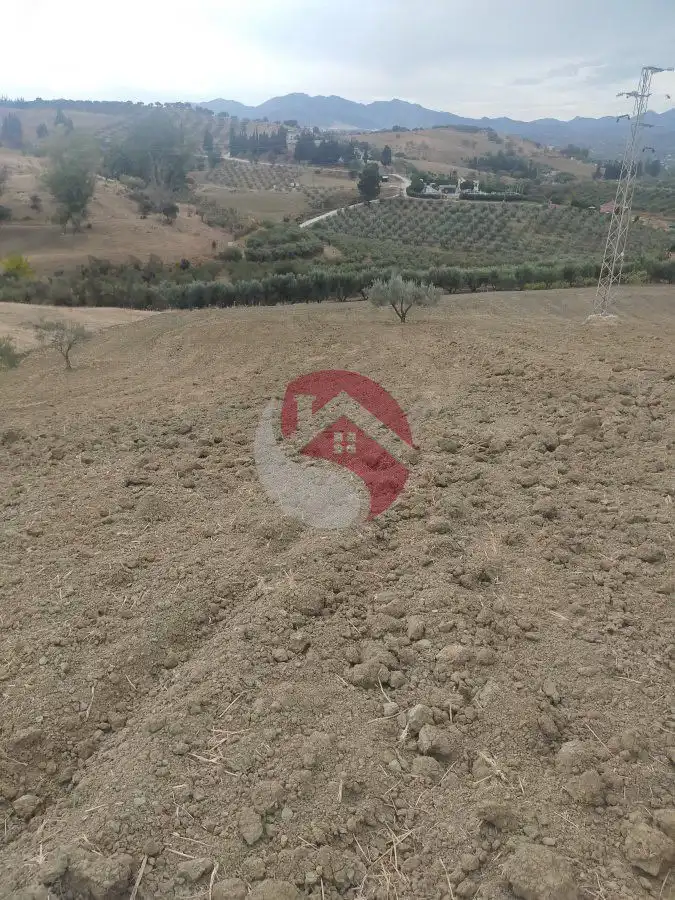 Terreno rústico en venta en Alquería - Torrealquería, imagen 9