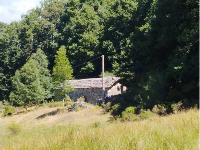 Casa-chalet en Venta en Lugar Rioseco, 59 en Espinosa de los Monteros