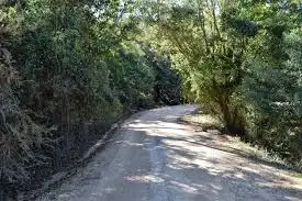 Vista exterior de Casa o xalet en venda en Los Barrios amb Aire condicionat, Jardí privat i Terrassa