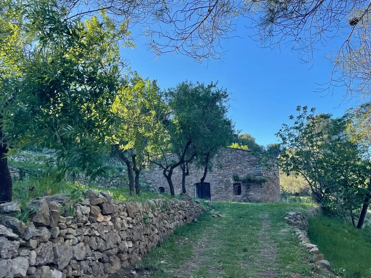 Vista exterior de Finca rústica en venda en Cabanes