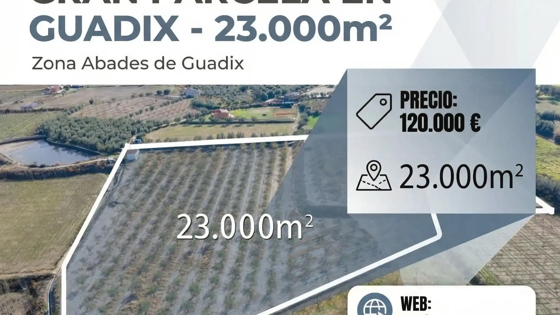 Land for sale in Guadix