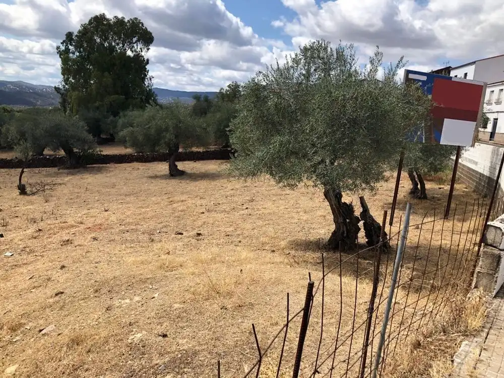 Residential land for sale in Avenida Andalucia, imagen 3