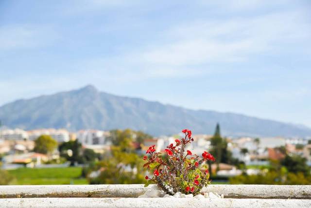 Dúplex en Alquiler en Guadalmina Baja