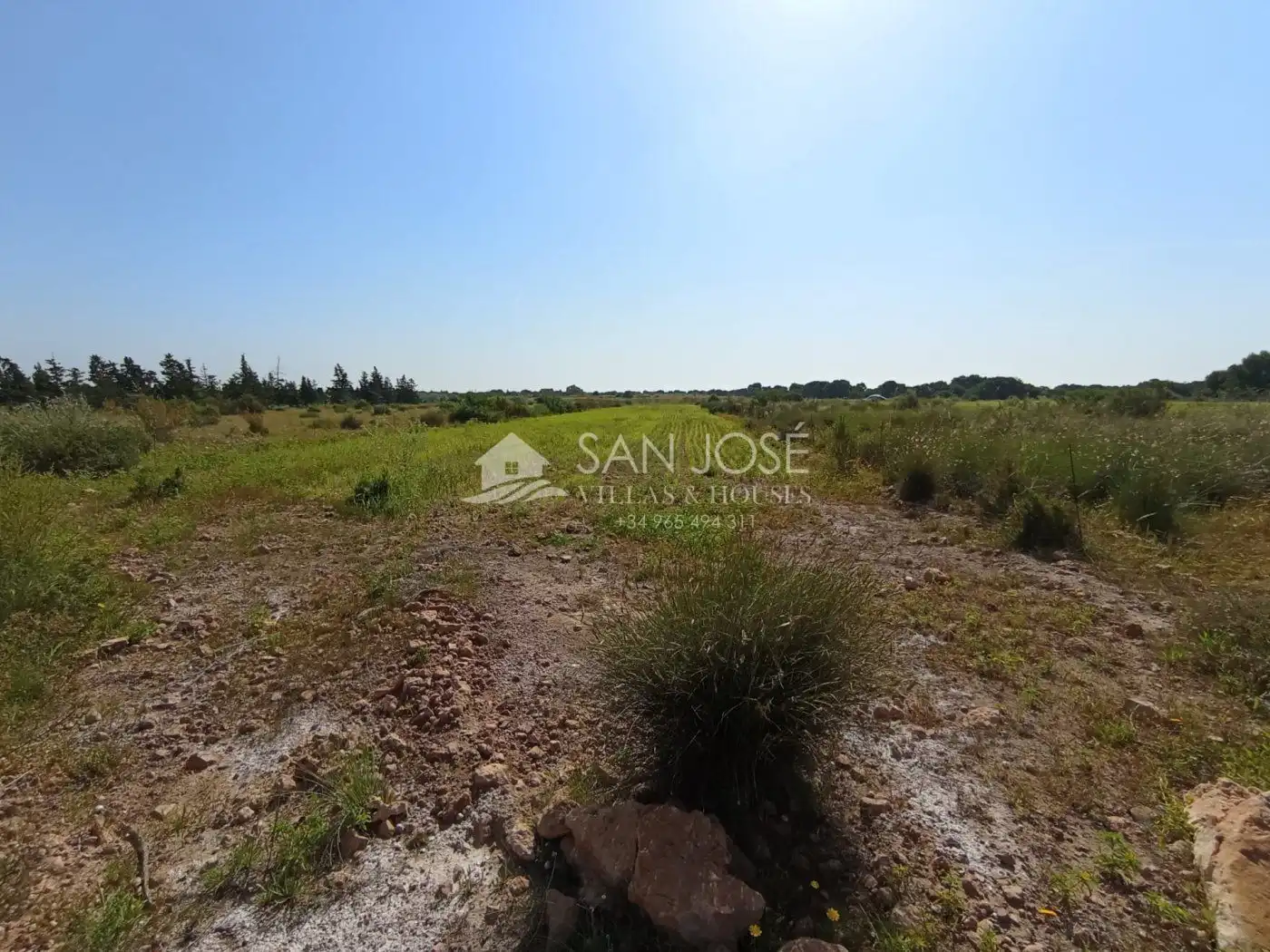 Terreno en venta en Elche / Elx
