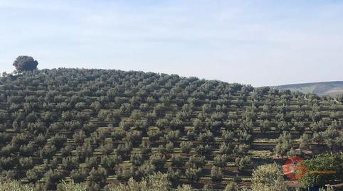 Foto 3 de Finca rústica en venda a Castril, Granada