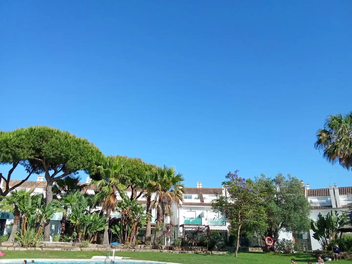 Adossat amb terrassa en venda a PEDRO DE ALVARADO