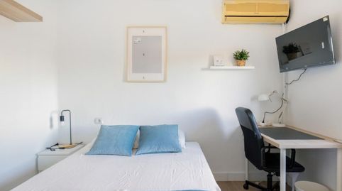 Foto 2 von Zimmer in Chapín - Campus Universitario - Navinco, Jerez de la Frontera