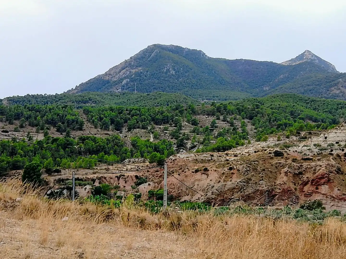 Terreno rustico in vendita a Lugar Castillo, imagen 13