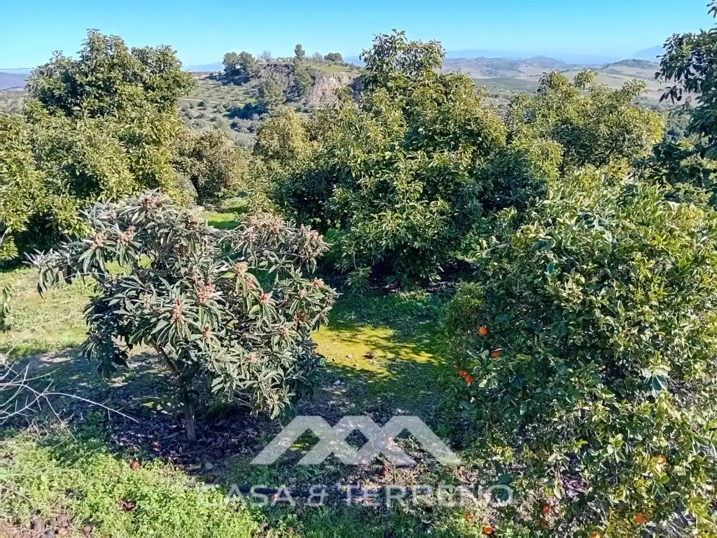 Casa o xalet en venda en Alozaina amb Piscina