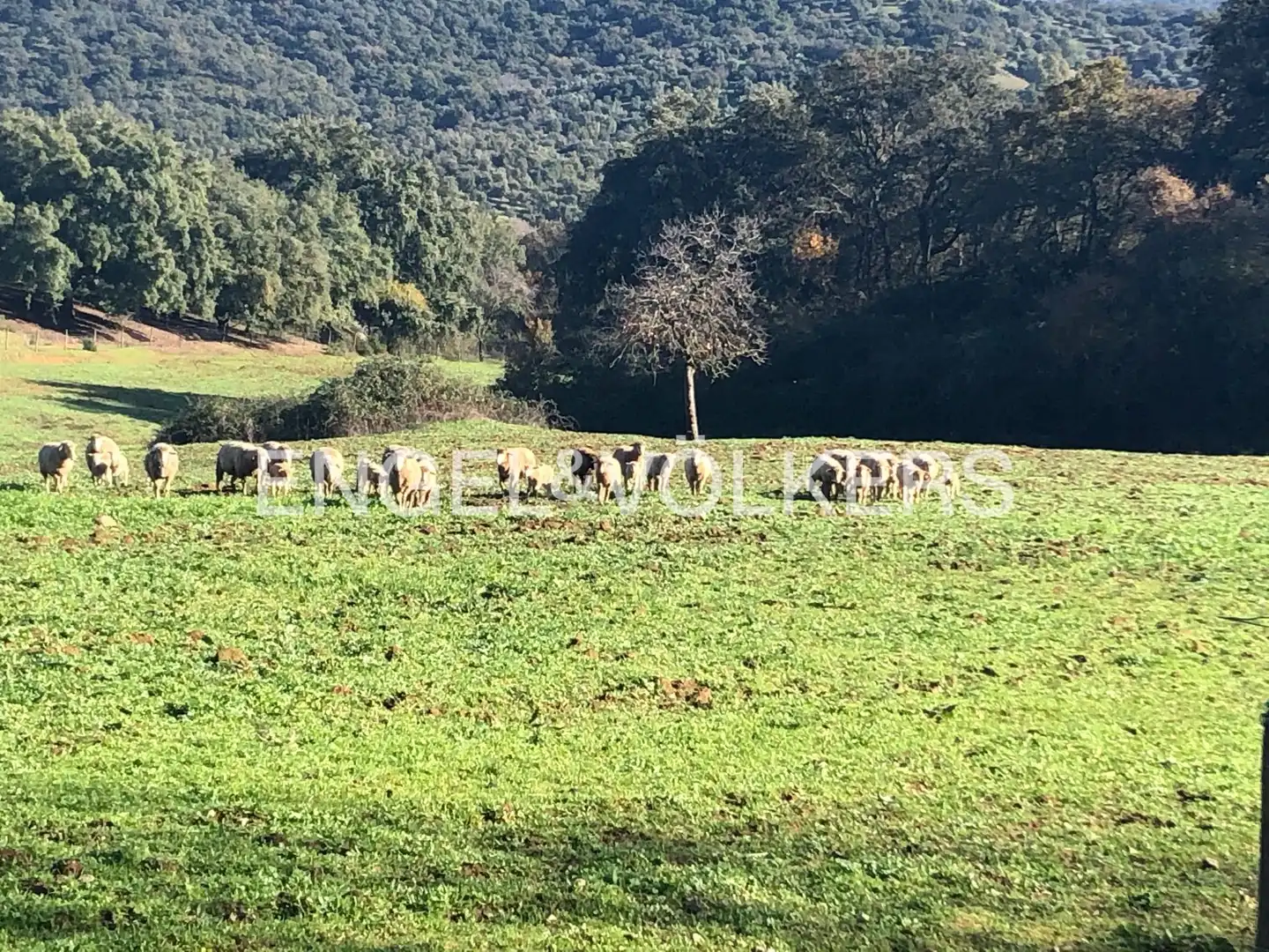 Casa rústica en venda a Constantina, imagen 52