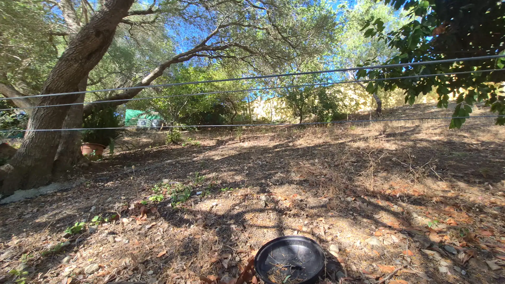 Finca rústica en venda en Los Barrios amb Jardí privat, Terrassa i Piscina