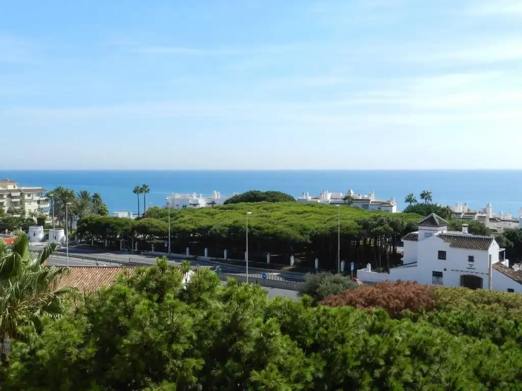 Apartamento con piscina en venta en Calle Palmar 3