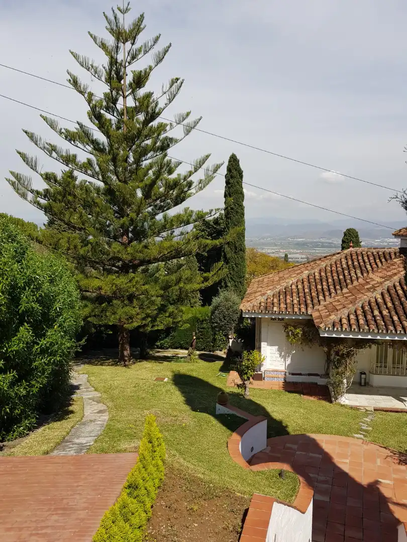 Jardí de Casa o xalet en venda en Alhaurín de la Torre amb Aire condicionat, Jardí privat i Terrassa