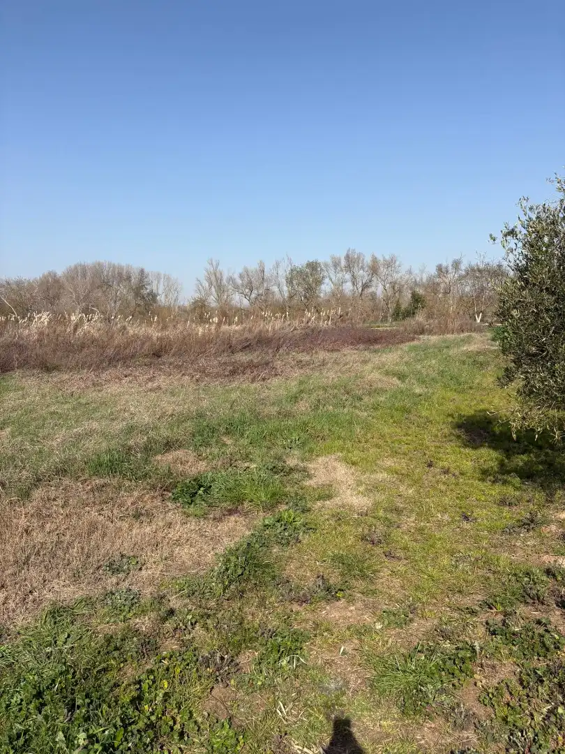 Rural land for sale in Agoncillo, imagen 4