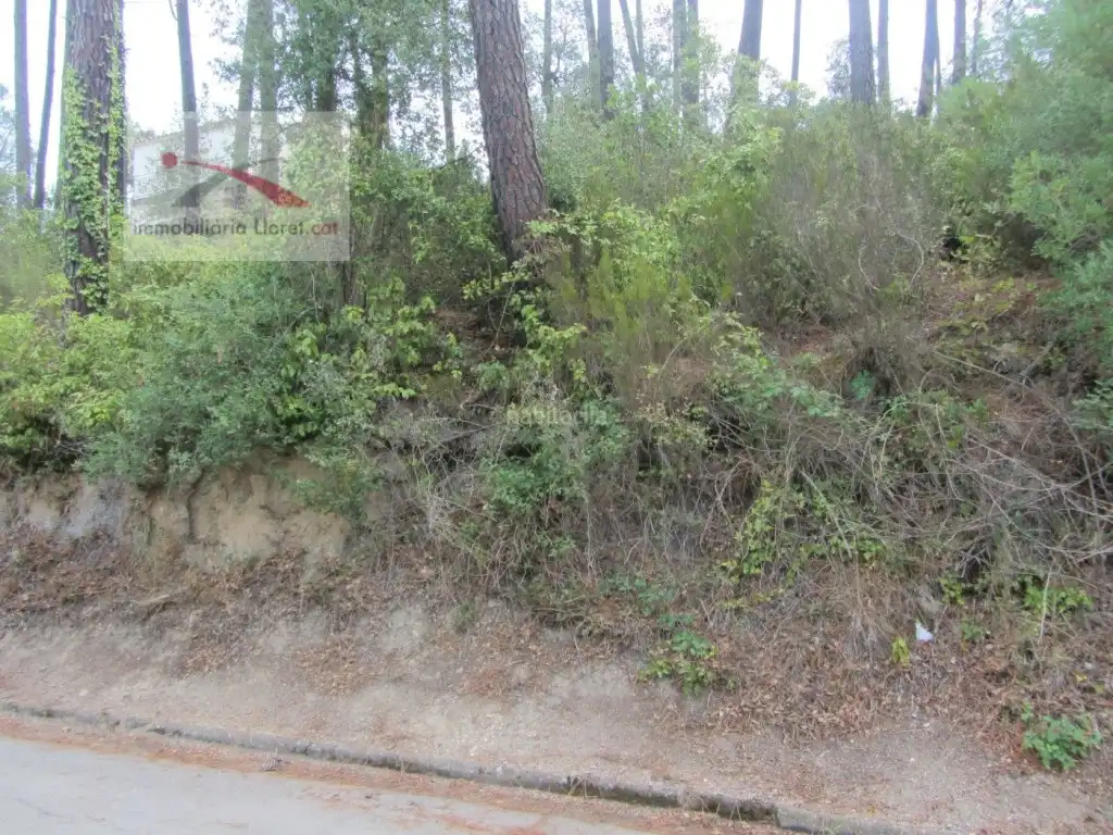 Terreny residencial en venda a Lloret Blau - La Creu de Lloret, imagen 6