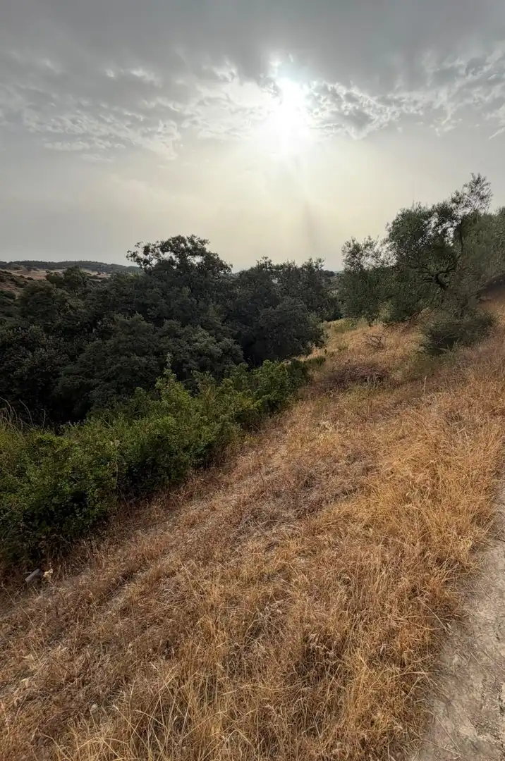 Rural land for sale in Morón de la Frontera, imagen 18