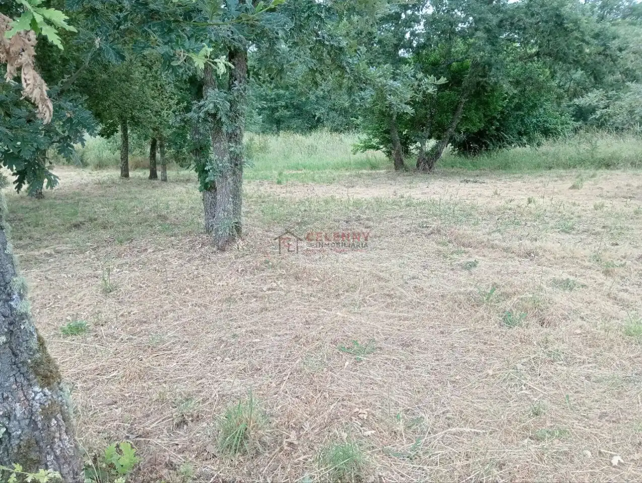 Terreni e lotti in vendita a San Cibrao das Viñas, imagen 2
