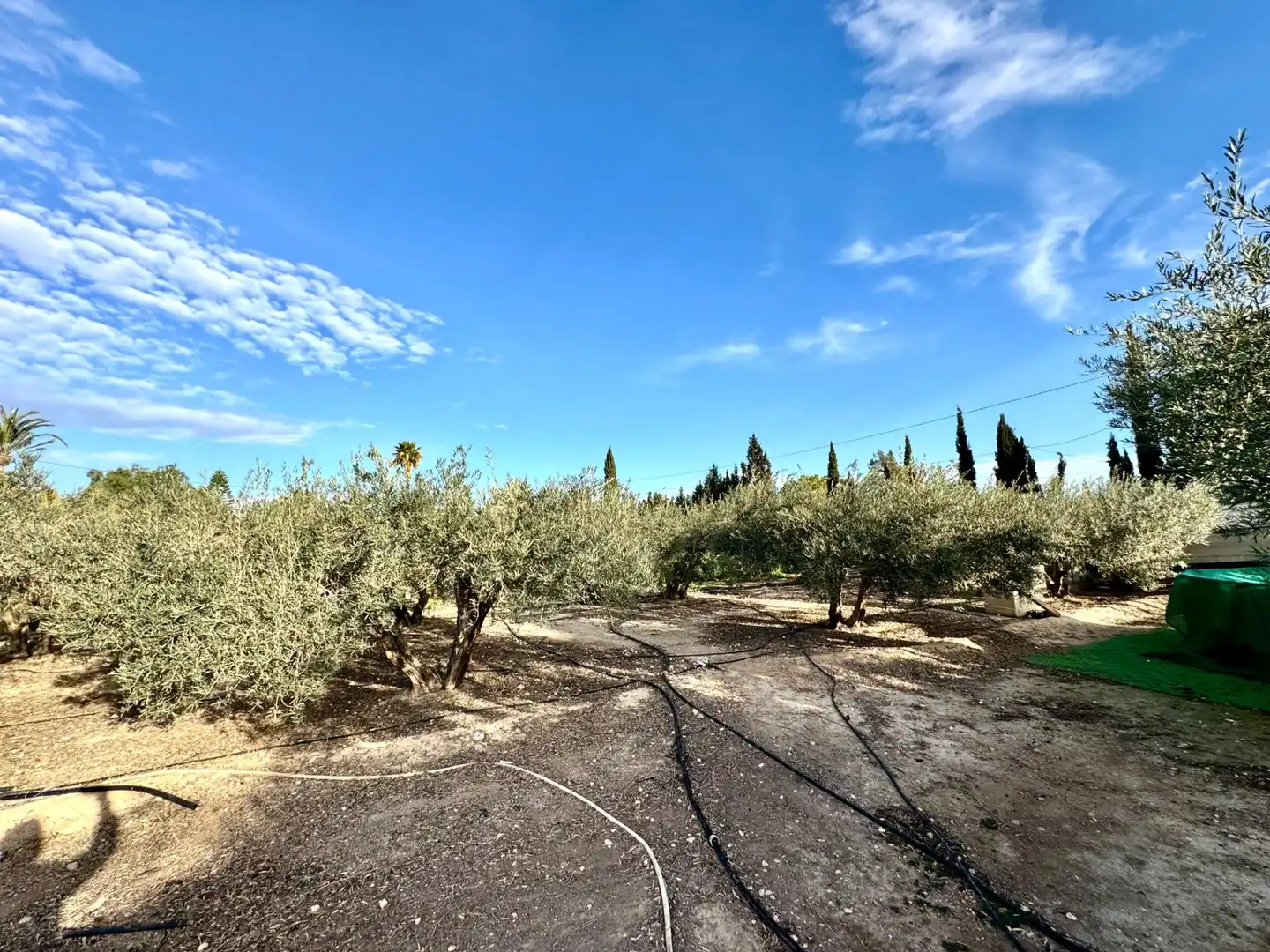 Villa avec jardin à vendre à Las Bayas, imagen 8