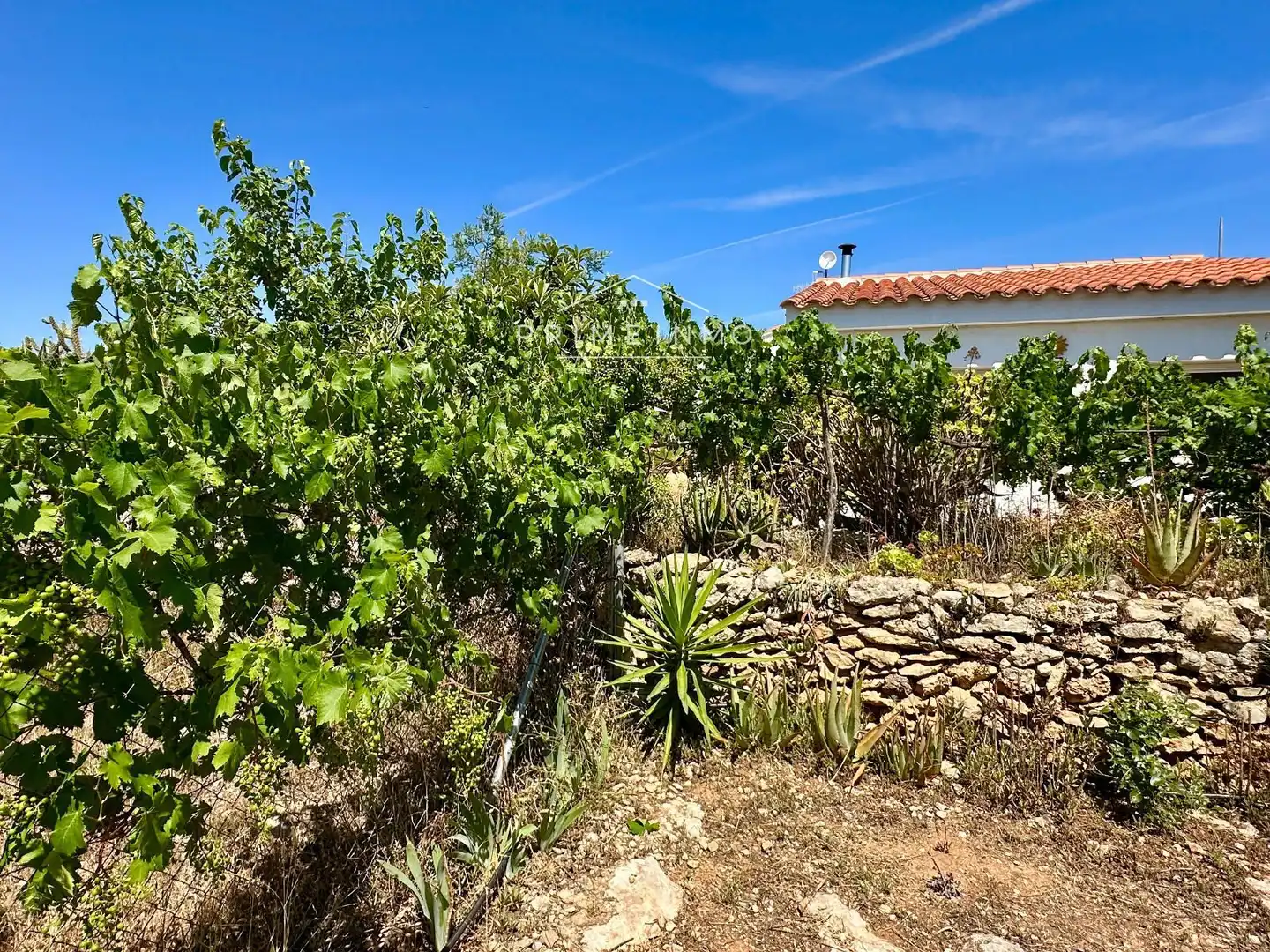 Finca rústica en venta en L'Ampolla con Aire acondicionado, Calefacción y Terraza
