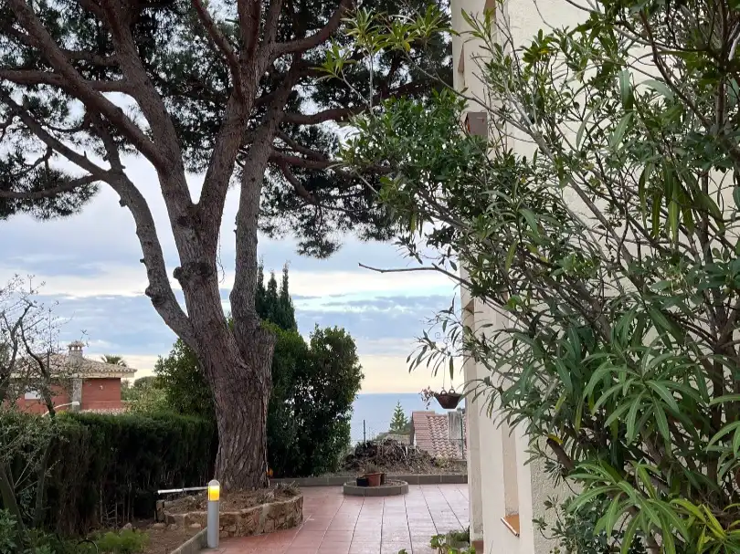 House with garden to rent in Carrer Gèminis 34, imagen 2