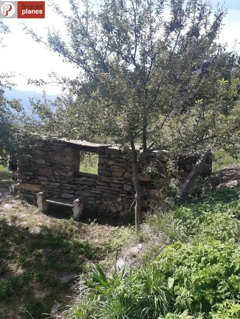 Exterior view of Houses for sale in Les Valls de Valira  with Private garden and Furnished