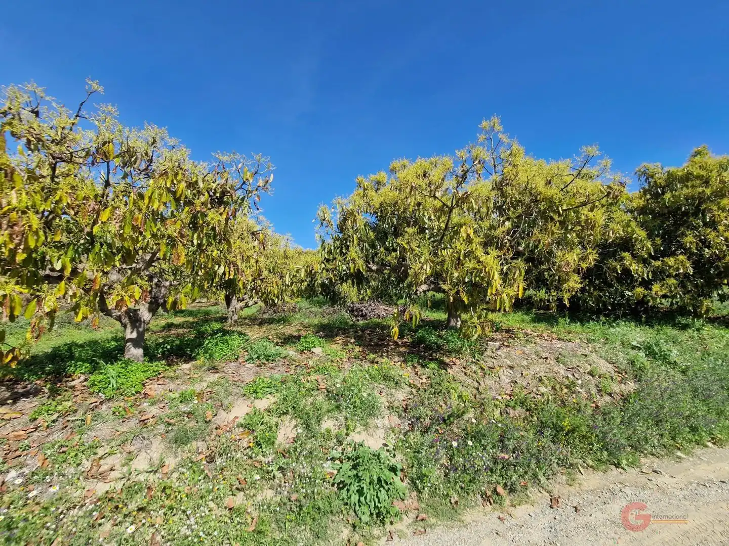 Finca rústica en venda a Lobres