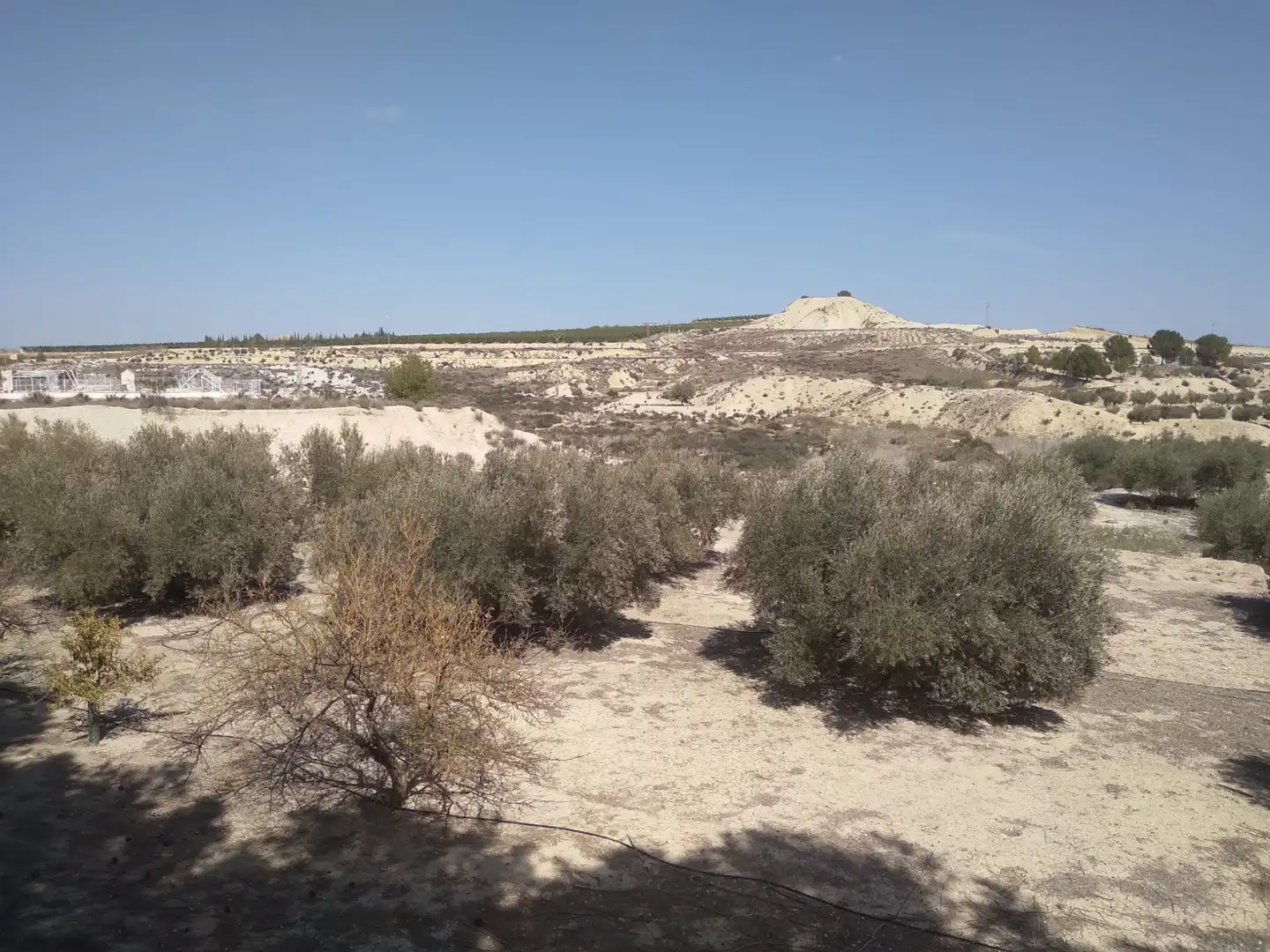 Terreni e lotti in vendita a Campos del Río, imagen 8